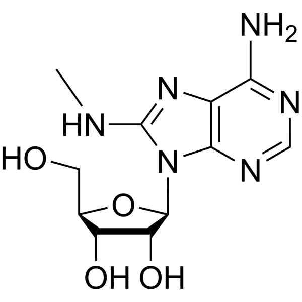 8-(Methylamino)adenosine 13389-13-4